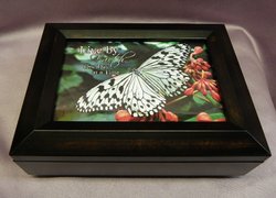 Amber Musical Jewelry Photo Box #SP3058