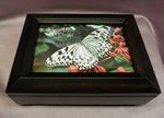 Amber Musical Jewelry Photo Box #SP3058