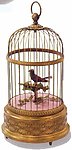 A Singing Bird In A Cage