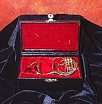 Miniature Sousaphone with Case