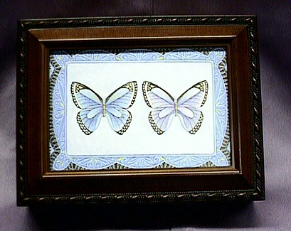 Butterfly Musical Picture Frame Box #PB2044