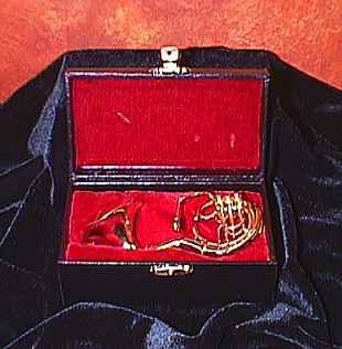 Miniature Sousaphone with Case