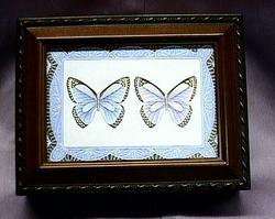 Butterfly Musical Picture Frame Box #PB2044